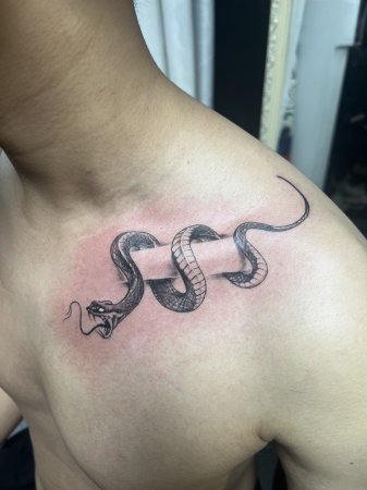 <b>锁骨纹身，蛇纹身</b>-缩略图