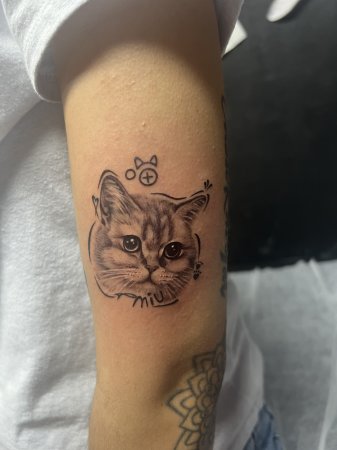 猫纹身,爱宠纹身
